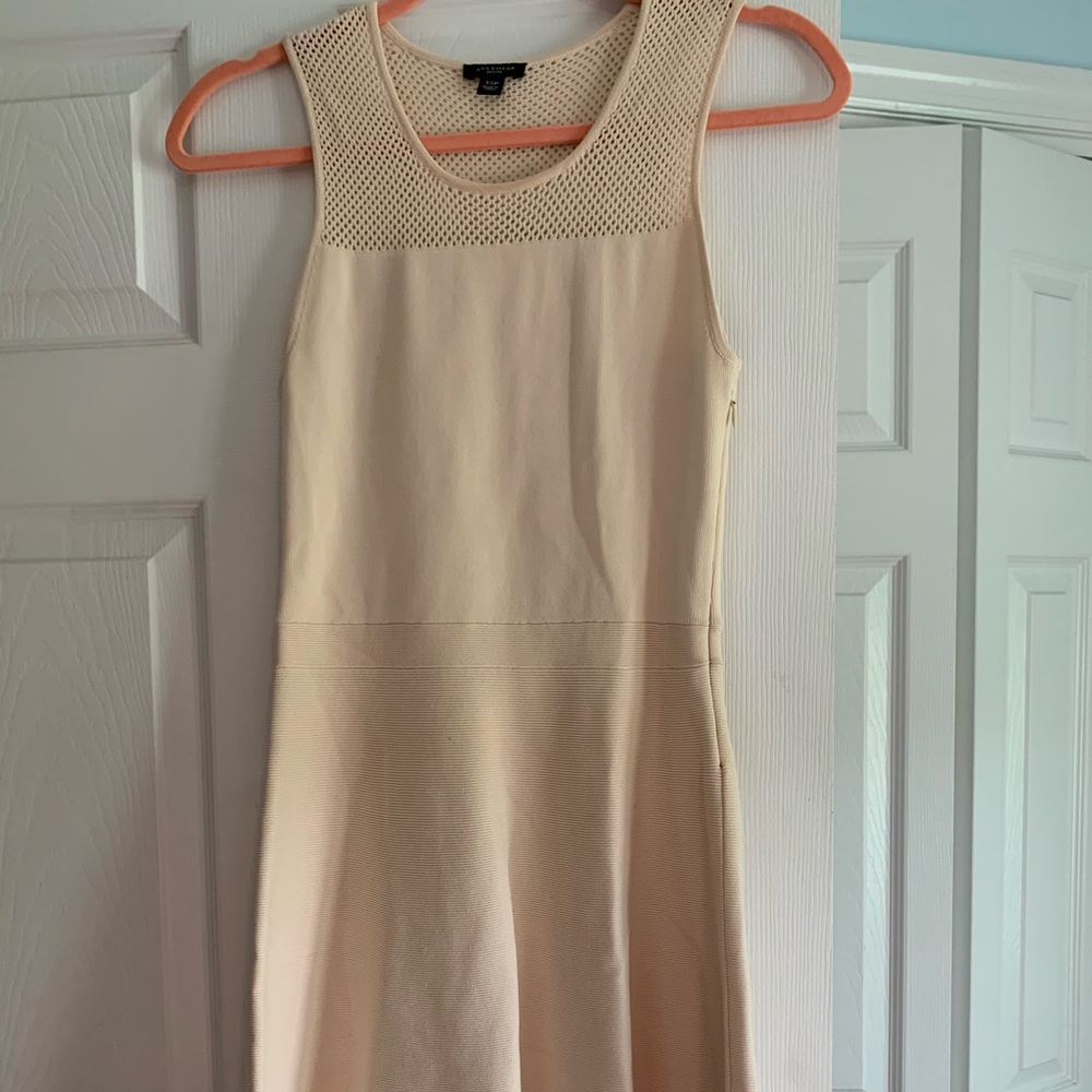 Ann Taylor Petite Cream Dress